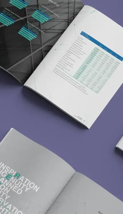 Riyad Bank – Annual Report 2015 