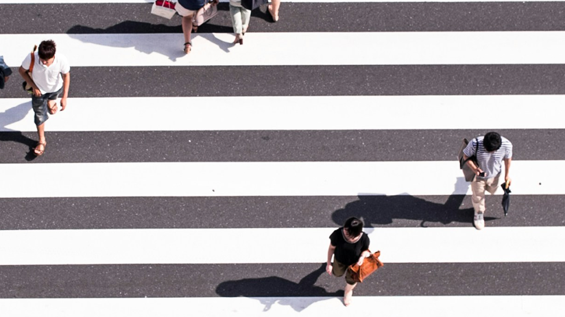 Co-Creating With Algorithms: The Future of Brand Innovation